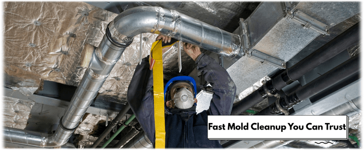 Air Duct Mold Removal in Palmdale