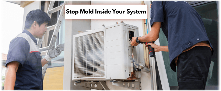 HVAC Mold Removal Palmdale